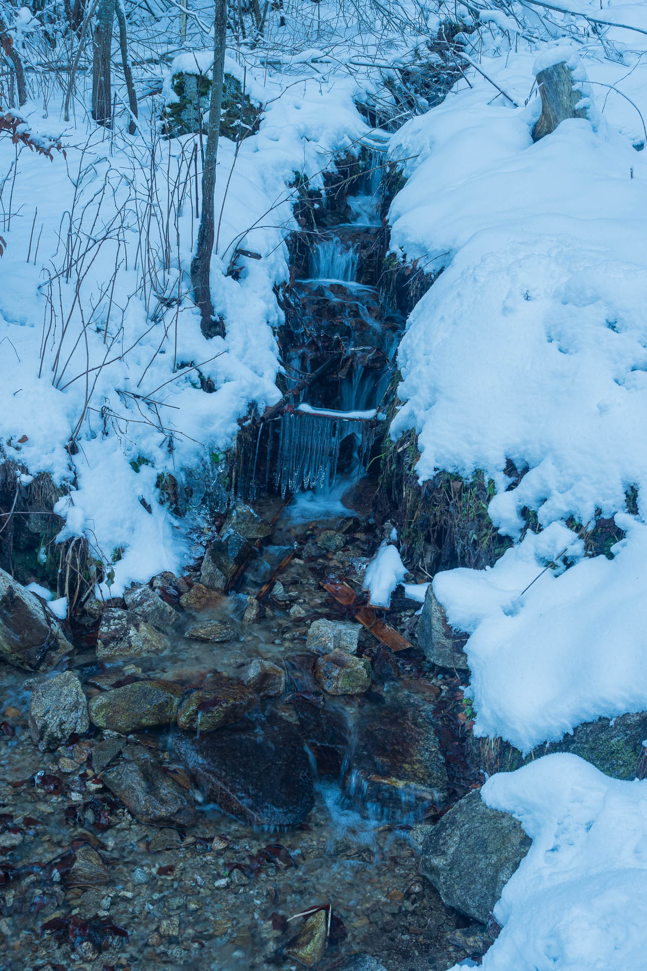 Ďumbier z Trangošky a Geminidy (Nízke Tatry)