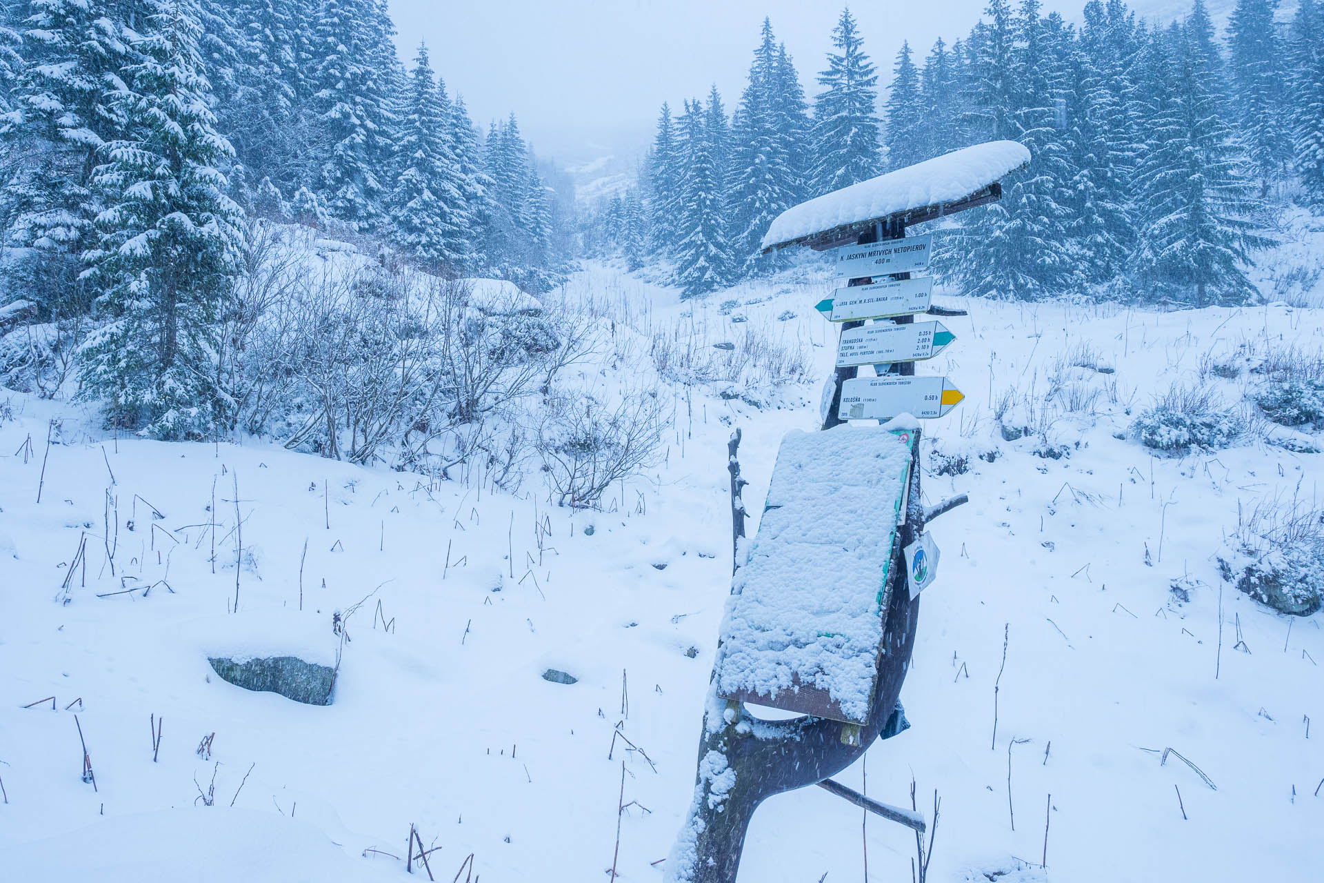 Ďumbier z Trangošky (zimnou cestou) (Nízke Tatry)