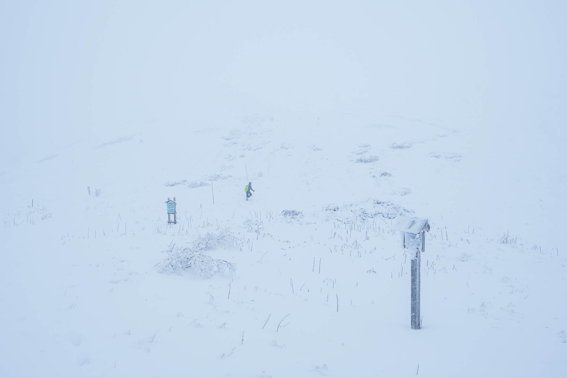 Ďumbier z Trangošky (zimnou cestou) (Nízke Tatry)