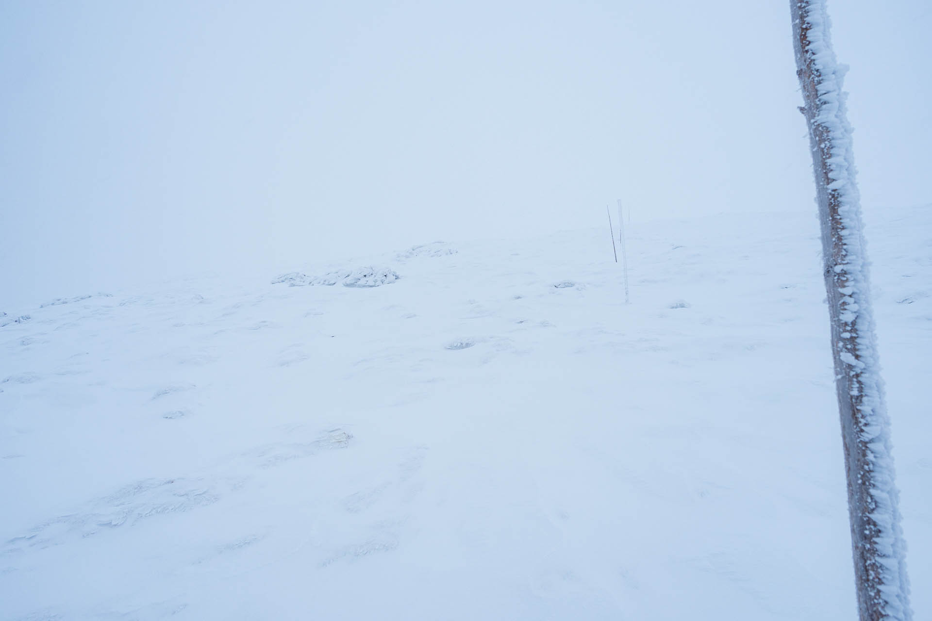 Ďumbier z Trangošky (zimnou cestou) (Nízke Tatry)