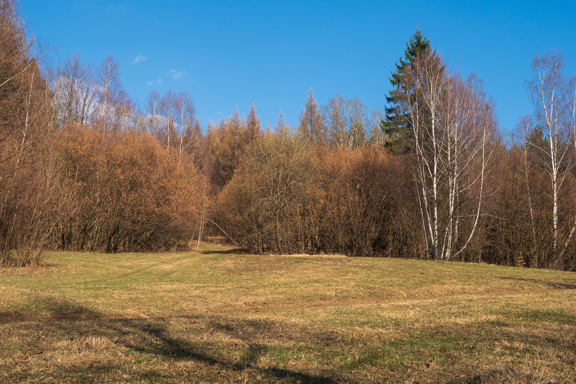 Folkmarská skala od Kamenného hŕbka, odpočívadla (Volovské vrchy)