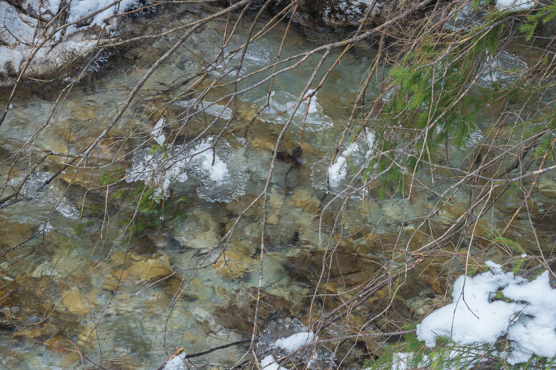 Havrania skala zo Stratenej (Slovenský raj)