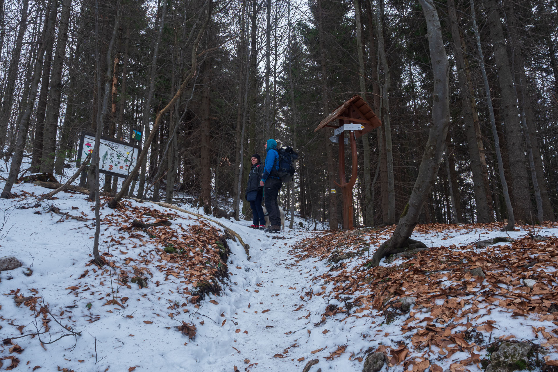 Havrania skala zo Stratenej (Slovenský raj)