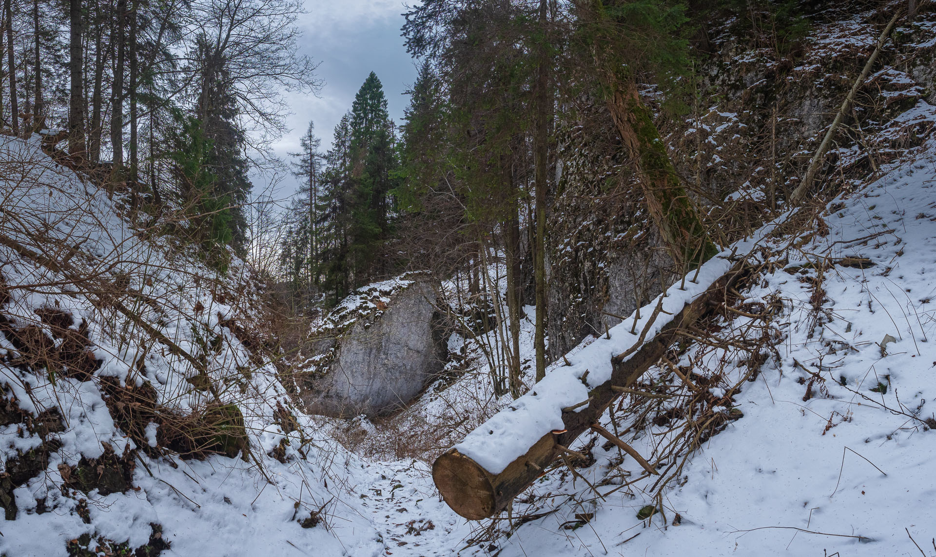 Havrania skala zo Stratenej (Slovenský raj)