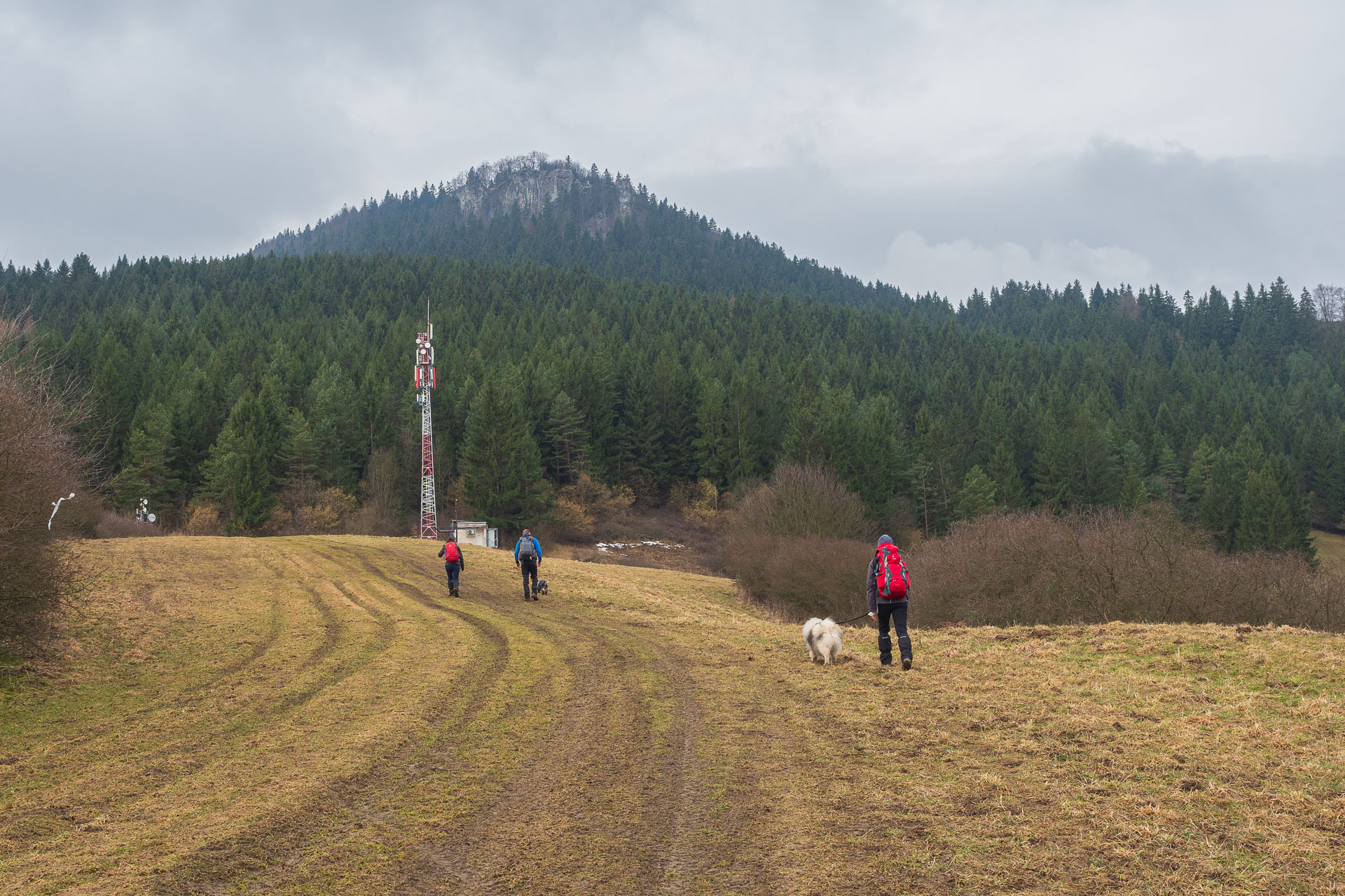 Hrdoš z Komjatnej (Chočské vrchy)