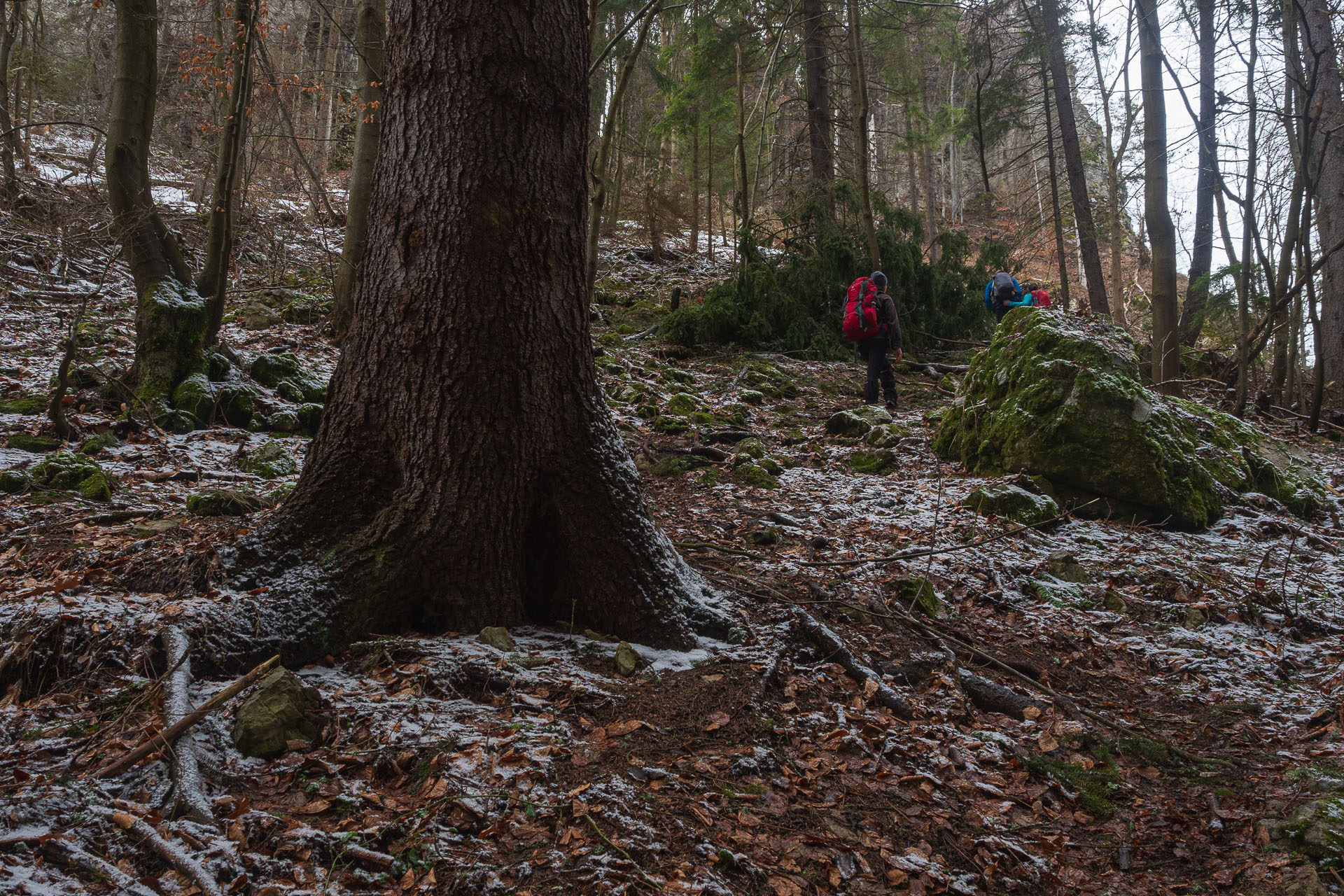 Hrdoš z Komjatnej (Chočské vrchy)