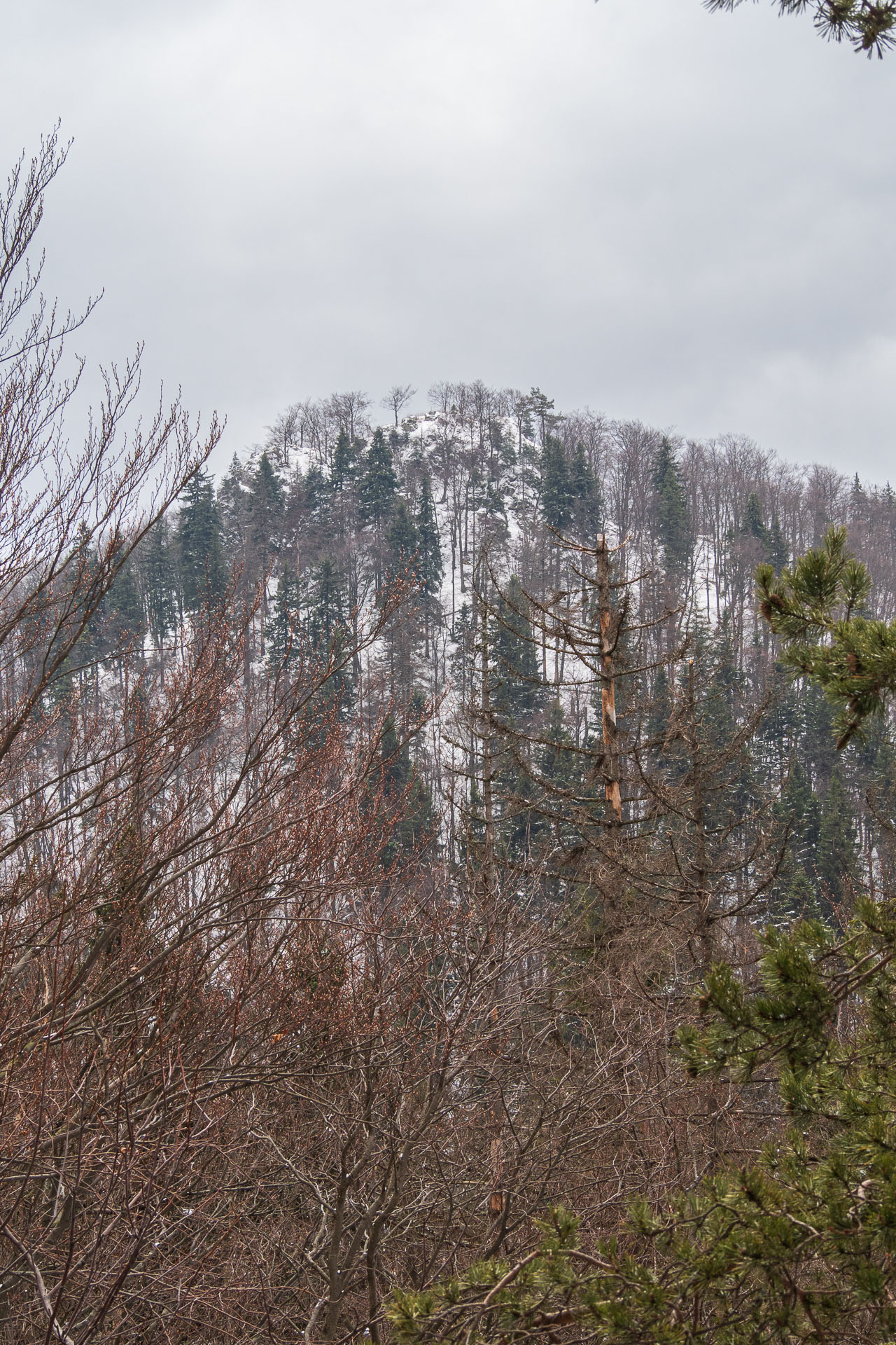 Hrdoš z Komjatnej (Chočské vrchy)