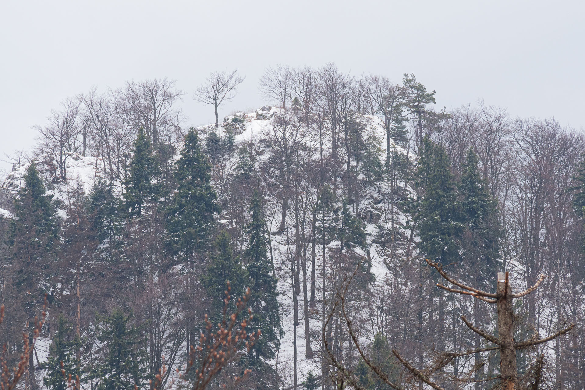 Hrdoš z Komjatnej (Chočské vrchy)