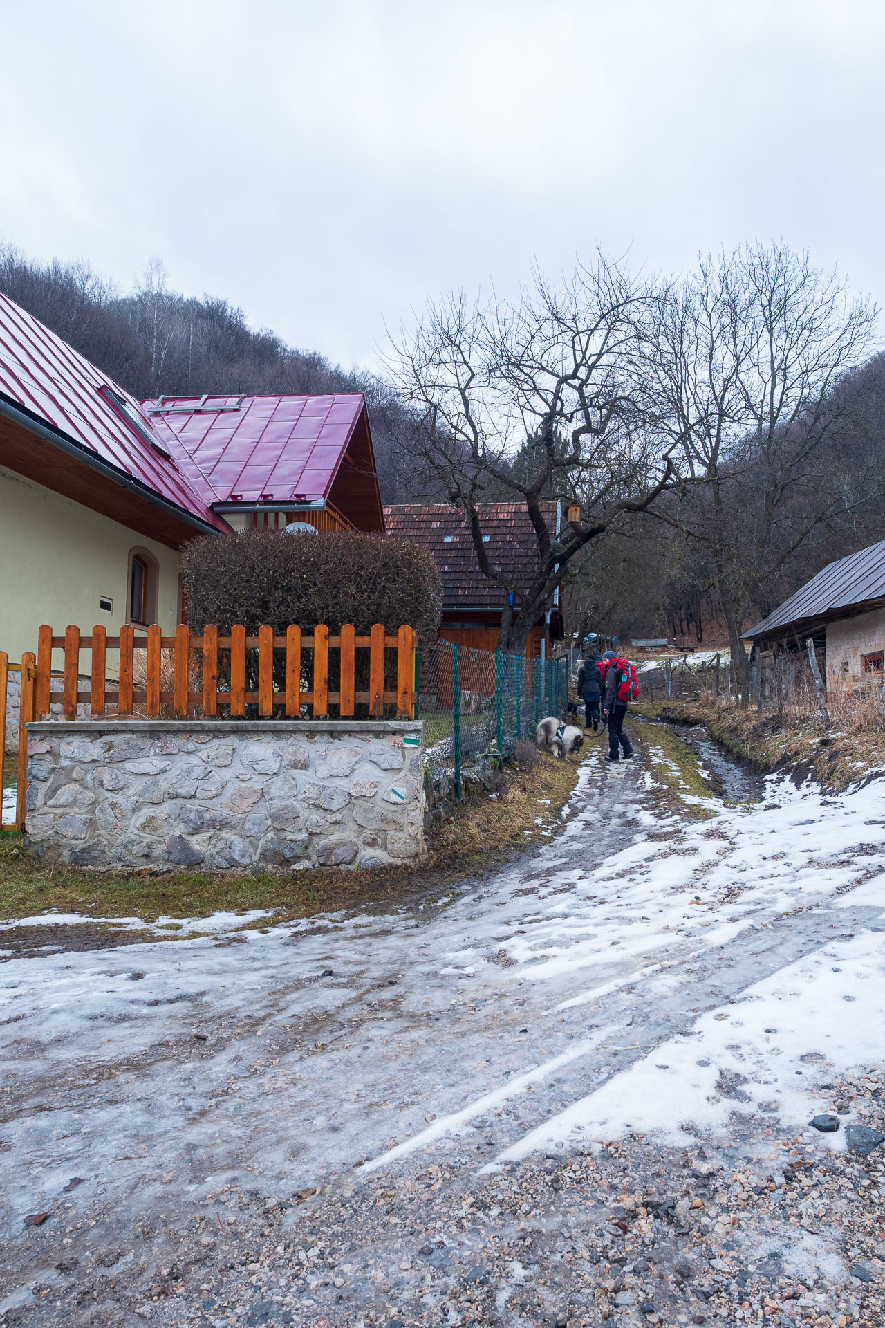 Jelení vrch z Hačavy (Slovenský kras)