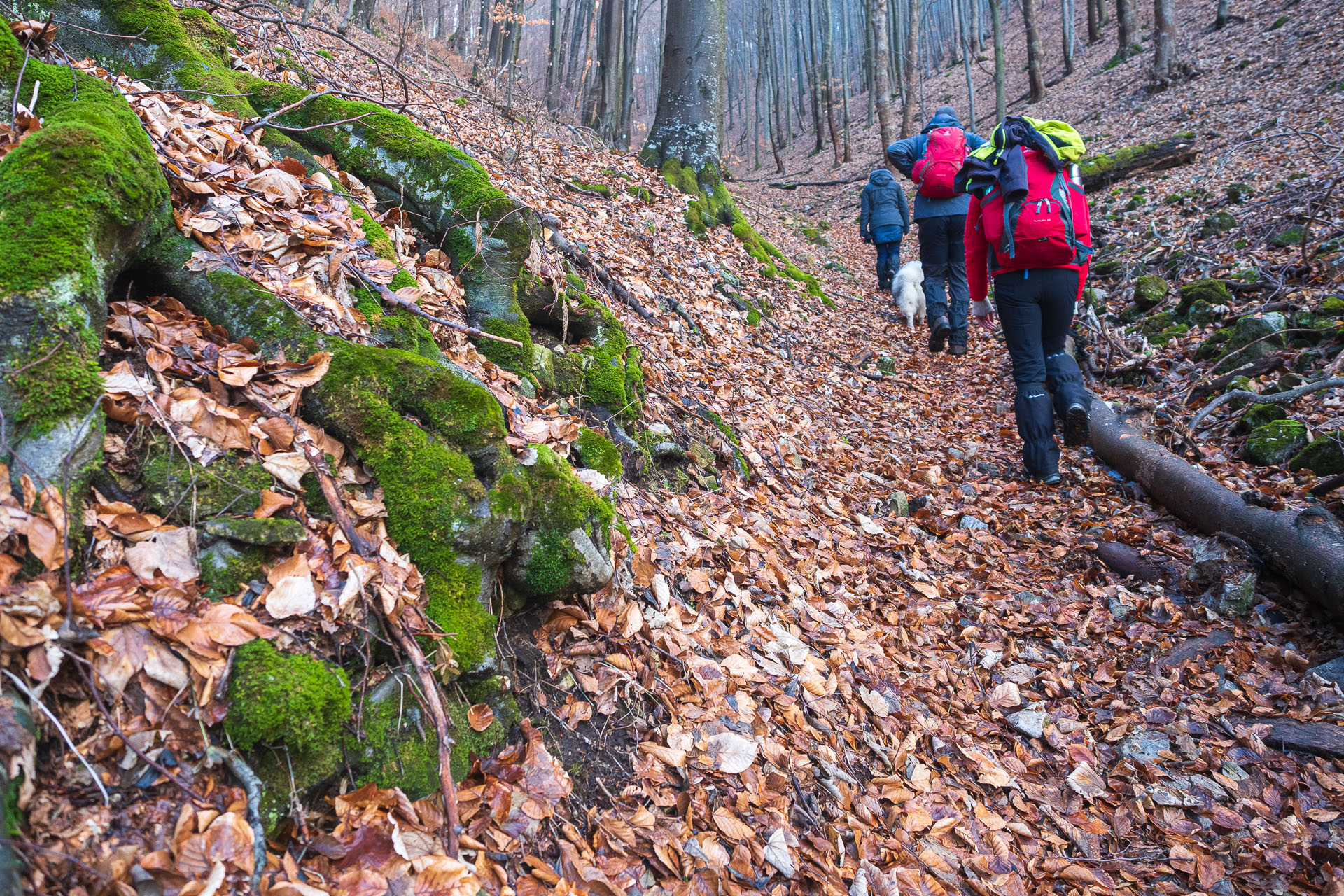 Jelení vrch z Hačavy (Slovenský kras)