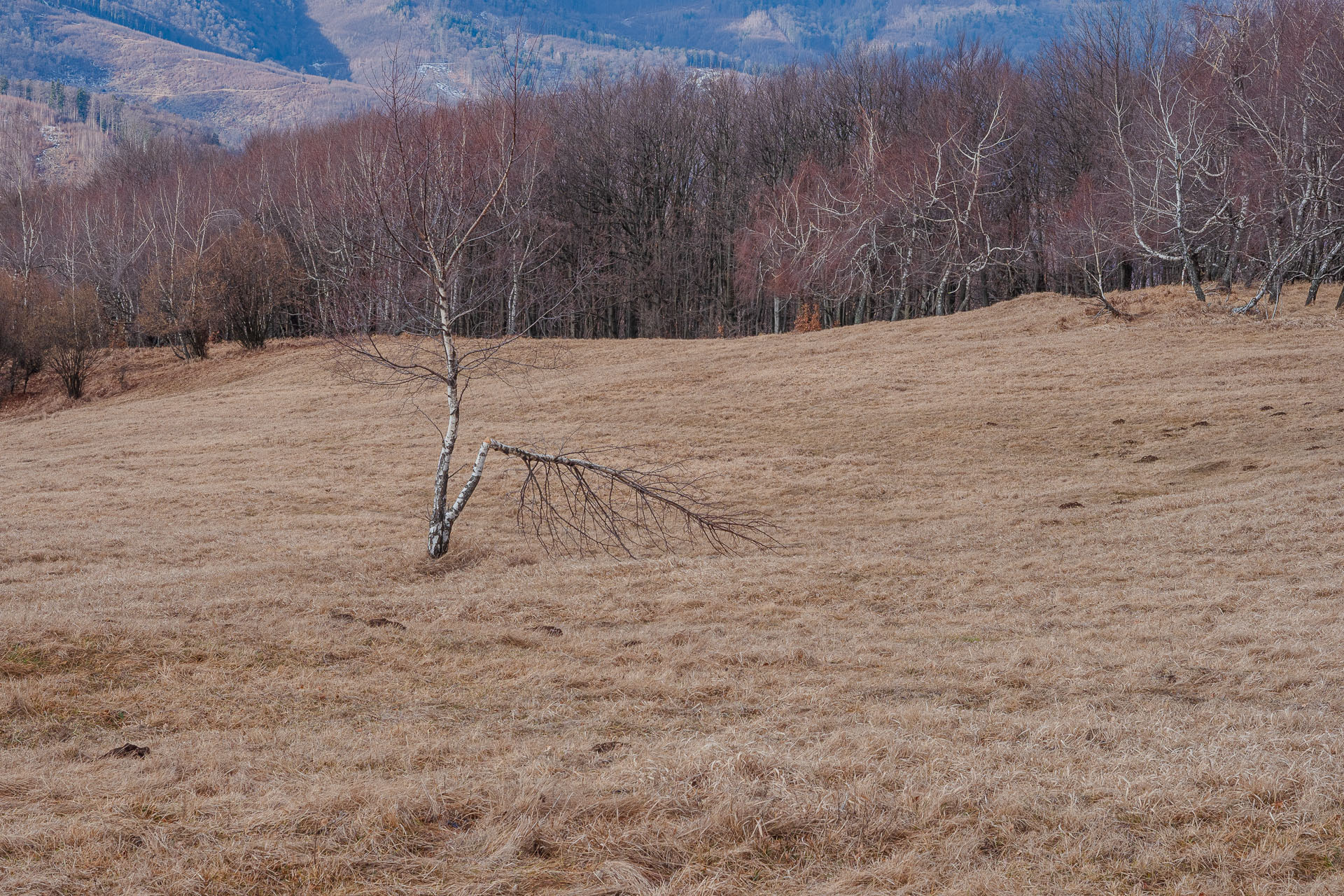 Jelení vrch z Hačavy (Slovenský kras)