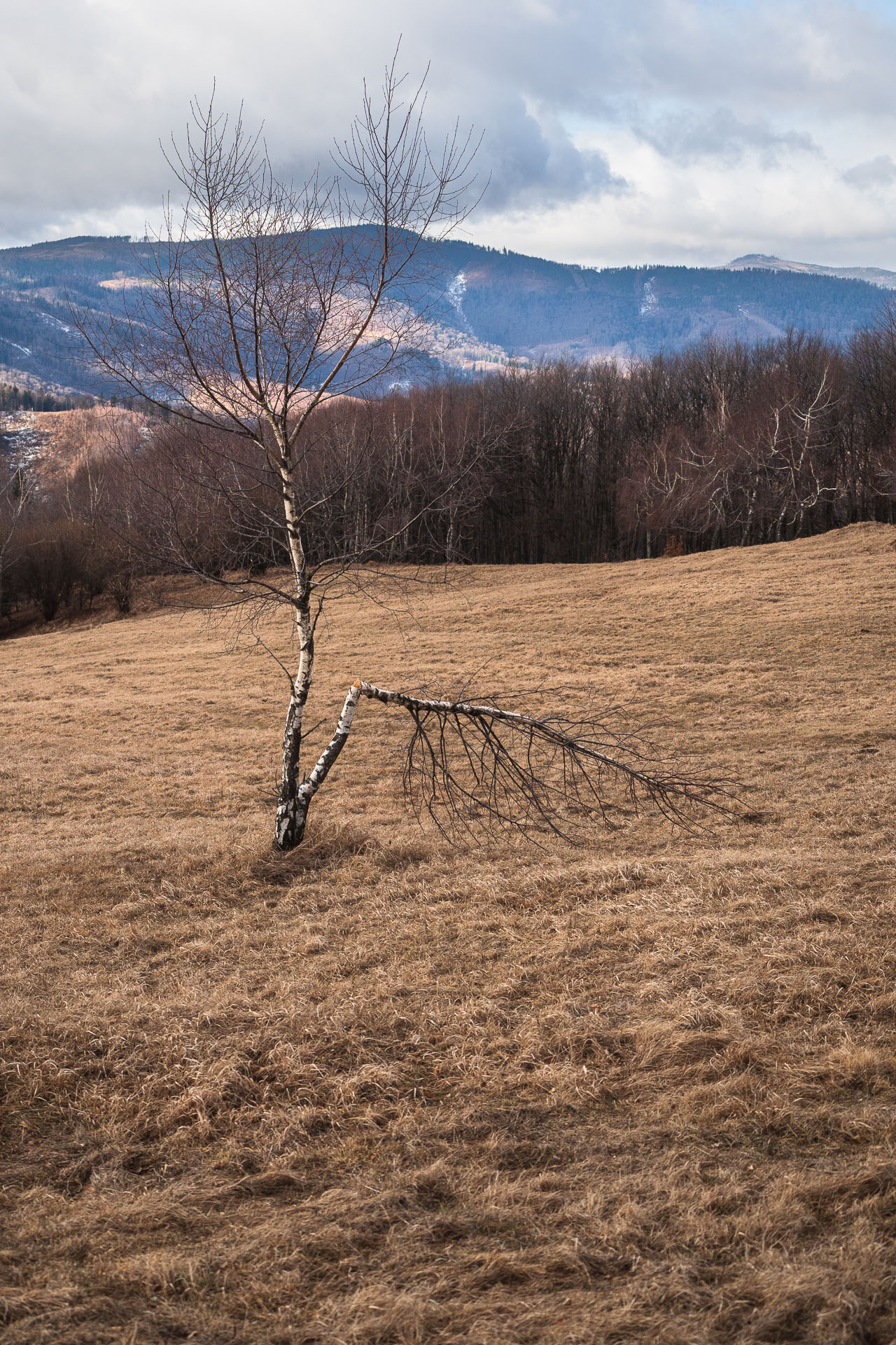 Jelení vrch z Hačavy (Slovenský kras)