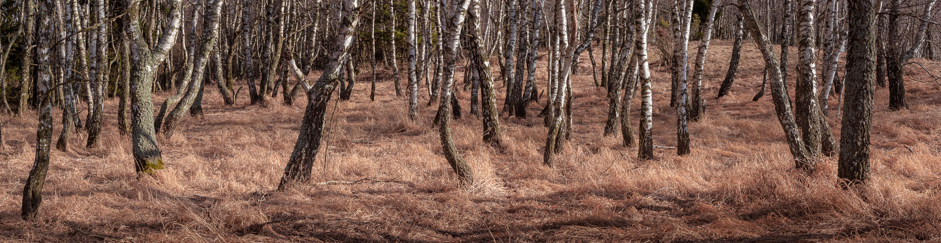 Jelení vrch z Hačavy (Slovenský kras)