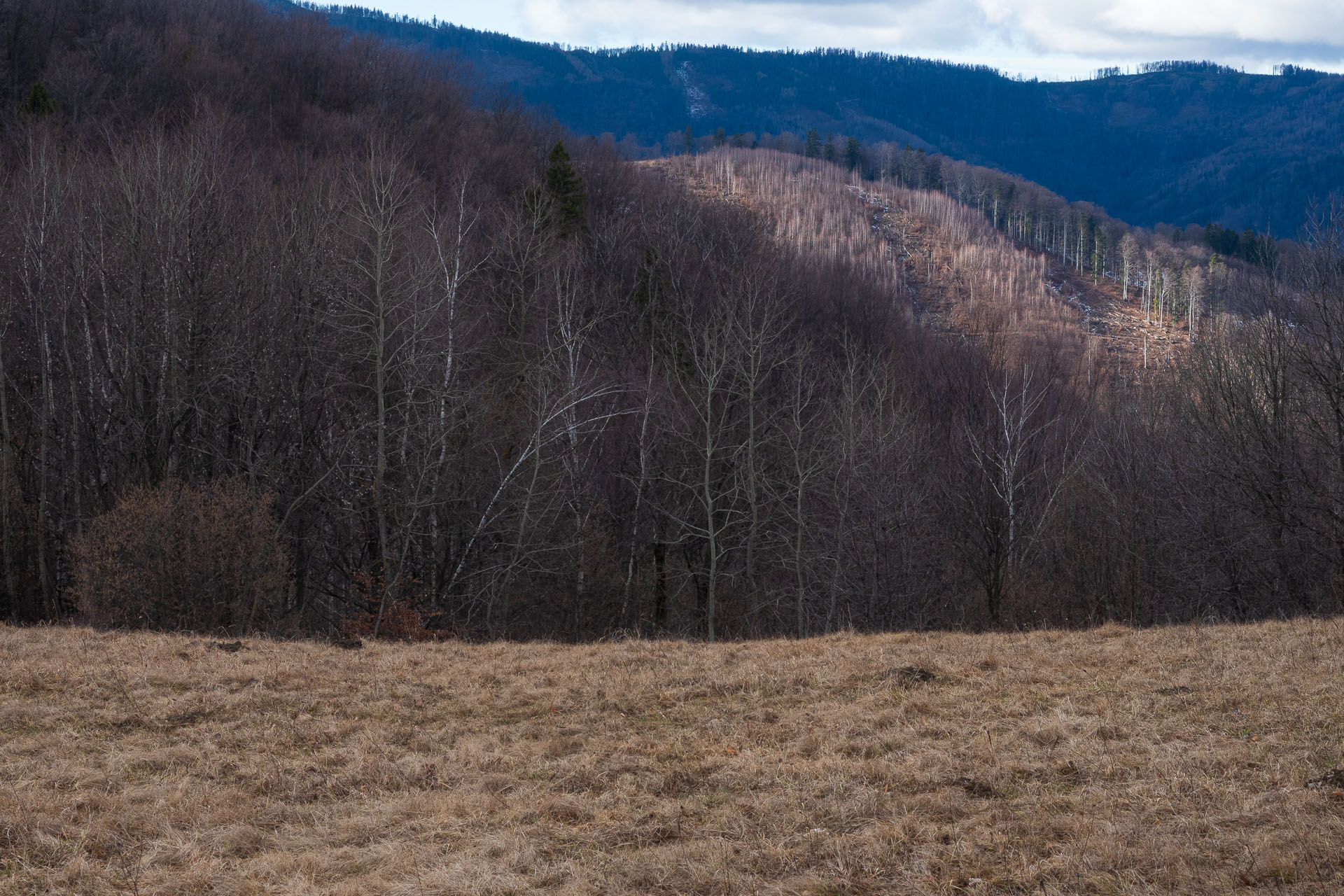 Jelení vrch z Hačavy (Slovenský kras)