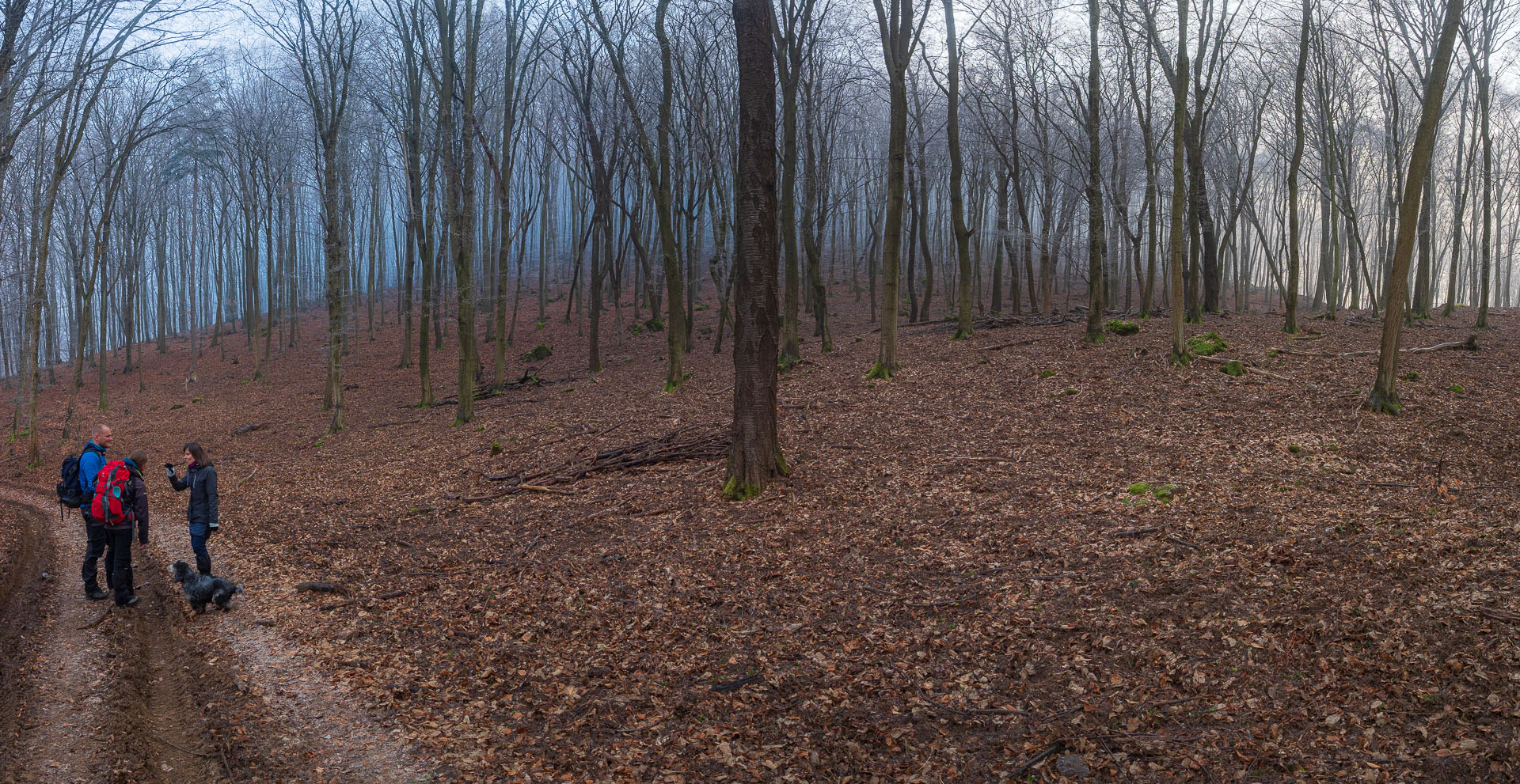 Kláštor Martonyi z Rakova nad Bodvou (Aggteleki-karszt)