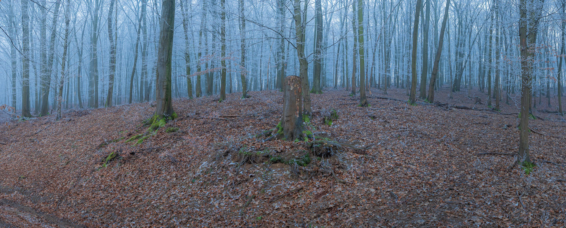 Kláštor Martonyi z Rakova nad Bodvou (Aggteleki-karszt)