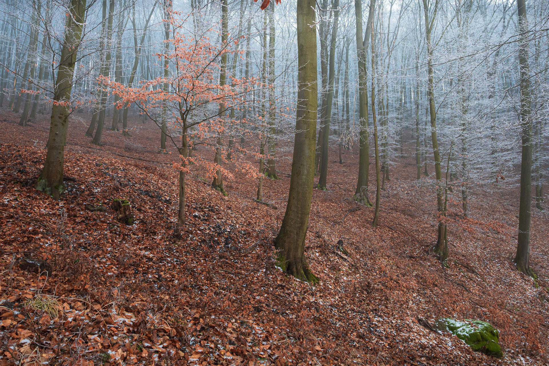 Kláštor Martonyi z Rakova nad Bodvou (Aggteleki-karszt)