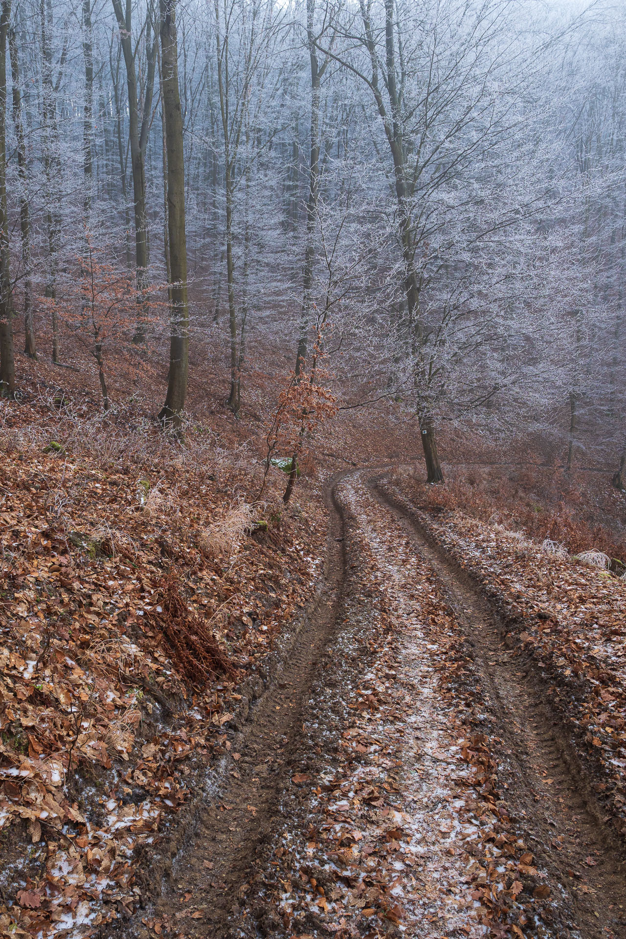 Kláštor Martonyi z Rakova nad Bodvou (Aggteleki-karszt)