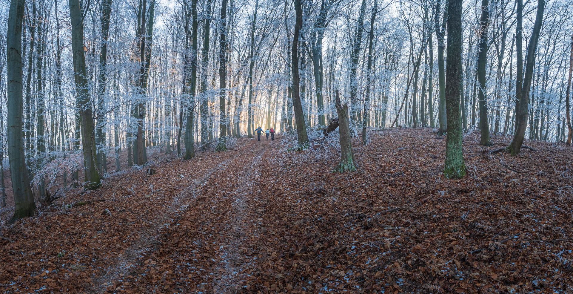 Kláštor Martonyi z Rakova nad Bodvou (Aggteleki-karszt)