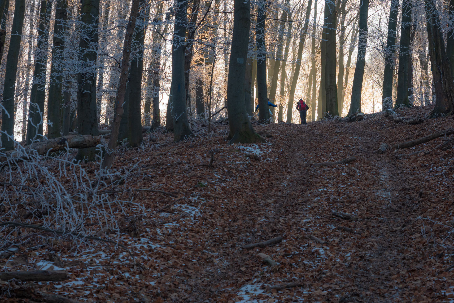 Kláštor Martonyi z Rakova nad Bodvou (Aggteleki-karszt)