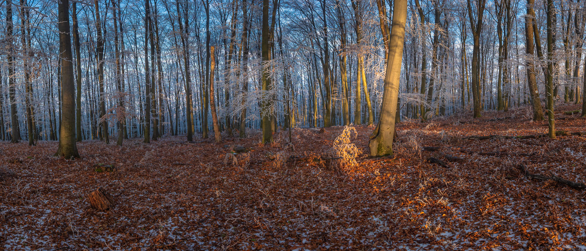 Kláštor Martonyi z Rakova nad Bodvou (Aggteleki-karszt)