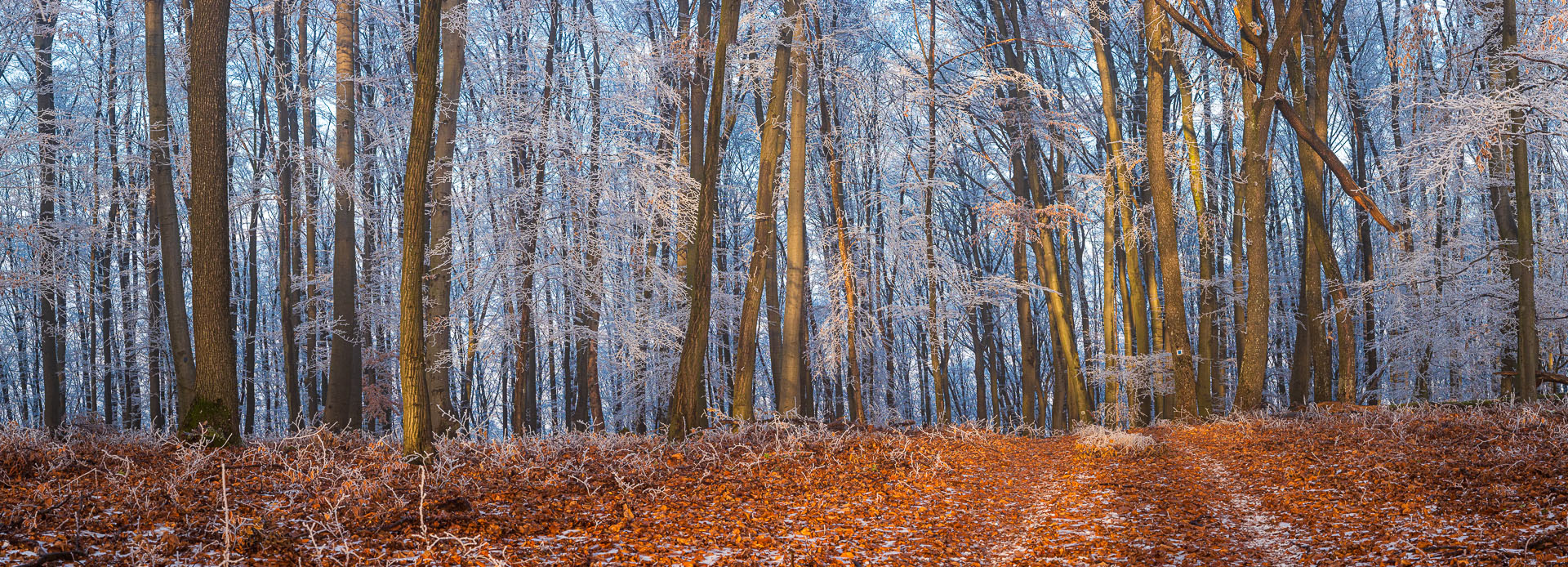 Kláštor Martonyi z Rakova nad Bodvou (Aggteleki-karszt)