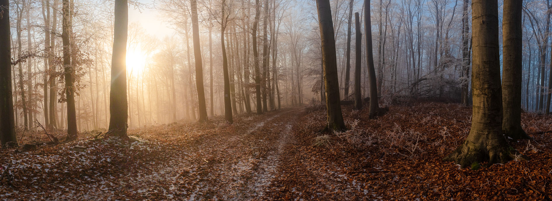 Kláštor Martonyi z Rakova nad Bodvou (Aggteleki-karszt)