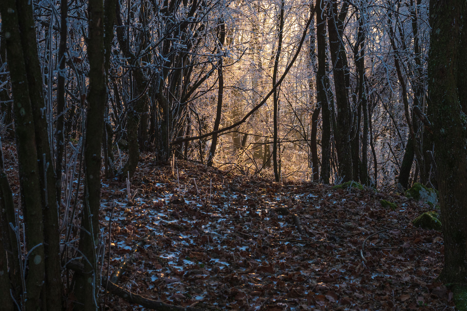 Kláštor Martonyi z Rakova nad Bodvou (Aggteleki-karszt)