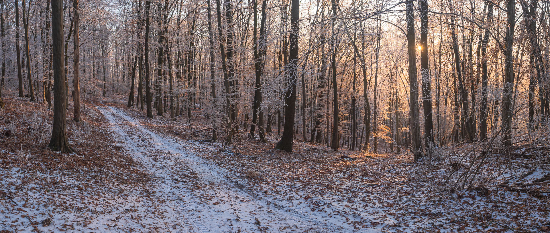 Kláštor Martonyi z Rakova nad Bodvou (Aggteleki-karszt)