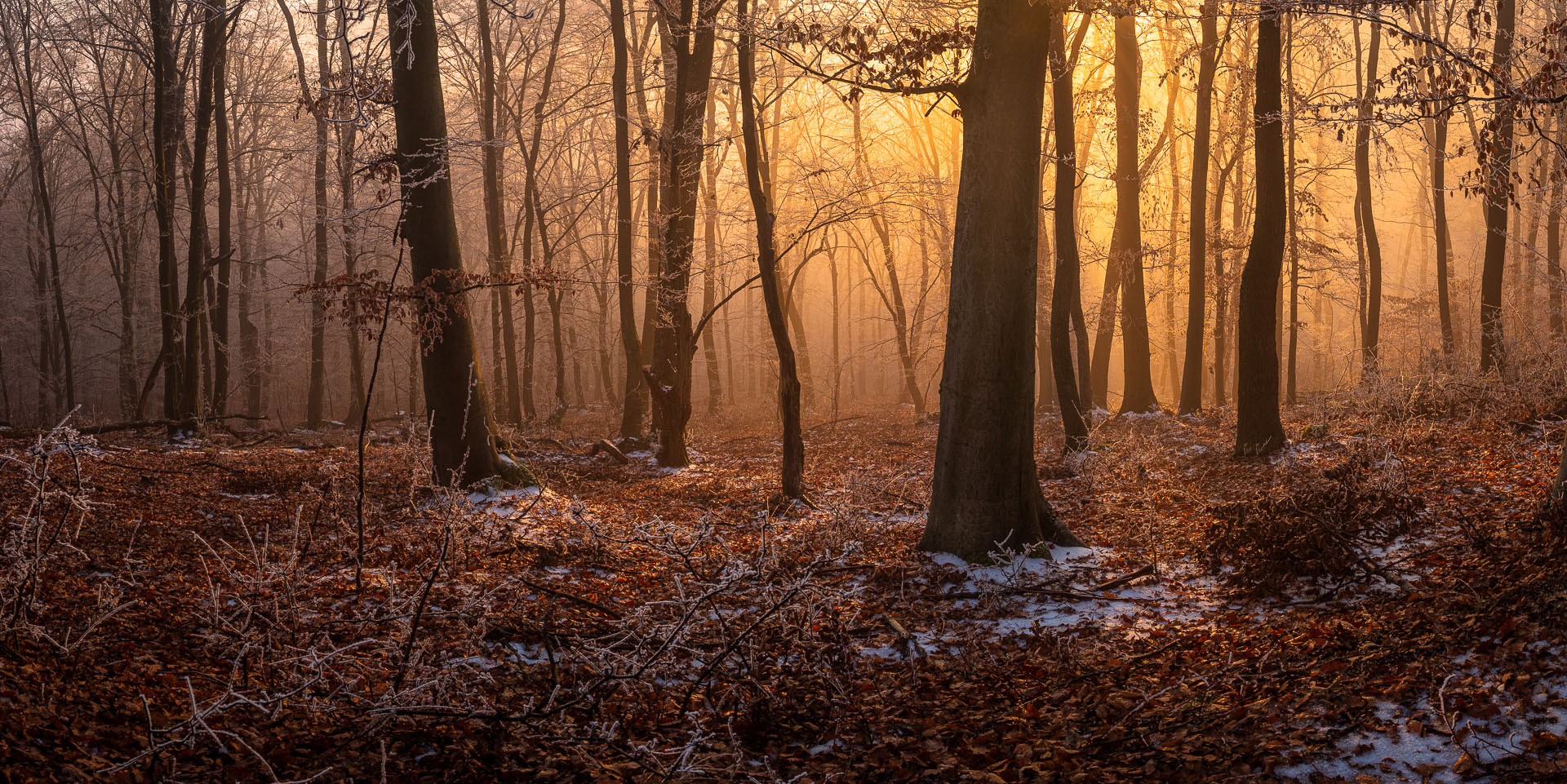 Kláštor Martonyi z Rakova nad Bodvou (Aggteleki-karszt)