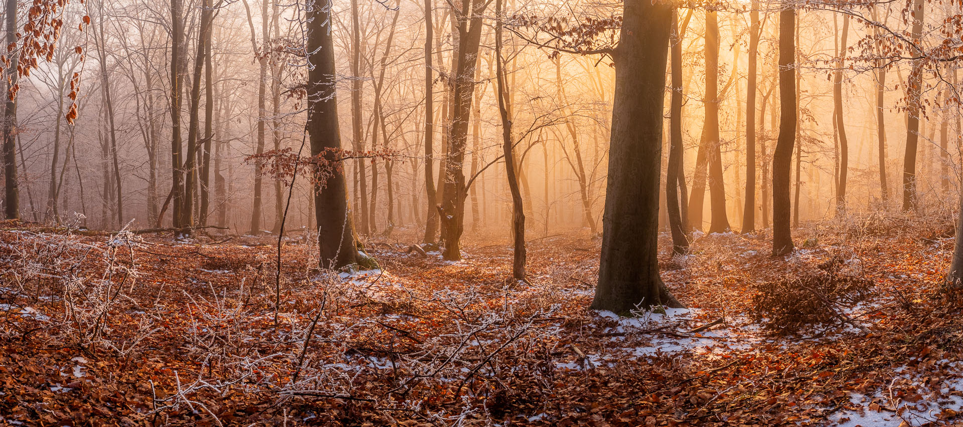 Kláštor Martonyi z Rakova nad Bodvou (Aggteleki-karszt)