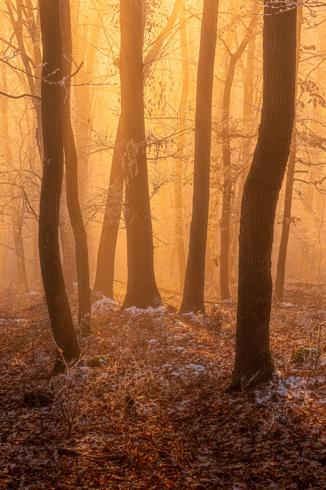 Kláštor Martonyi z Rakova nad Bodvou (Aggteleki-karszt)