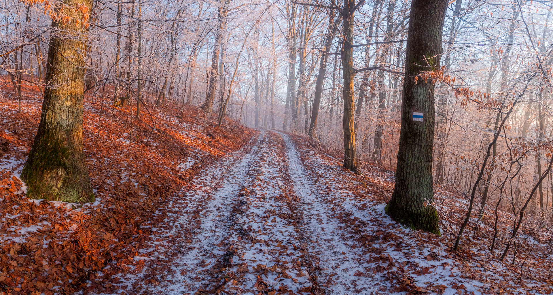 Kláštor Martonyi z Rakova nad Bodvou (Aggteleki-karszt)