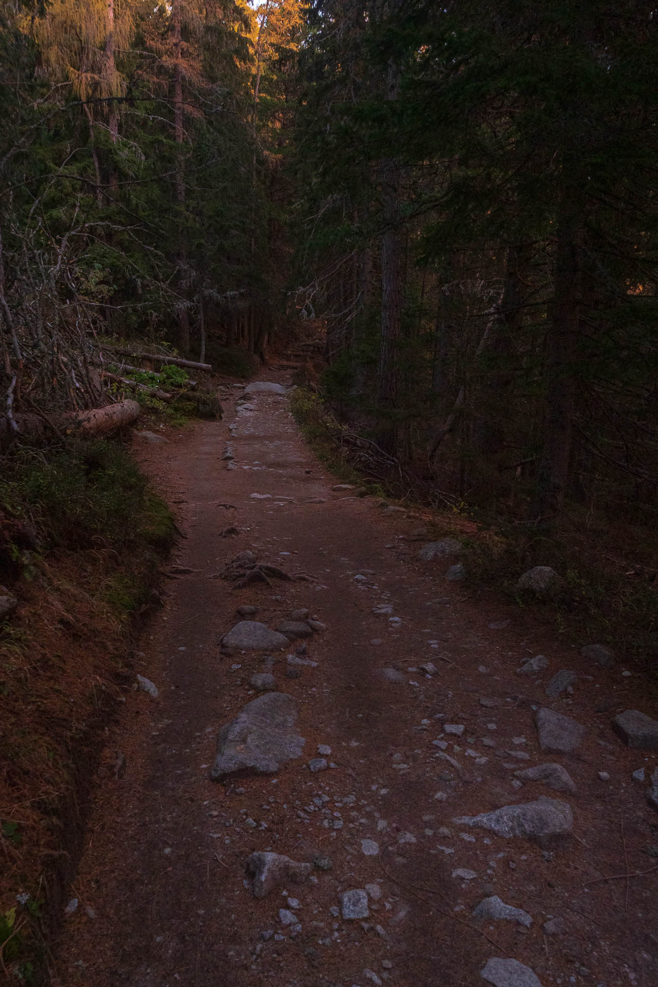 Kôprovský štít od Štrbského plesa (Vysoké Tatry)