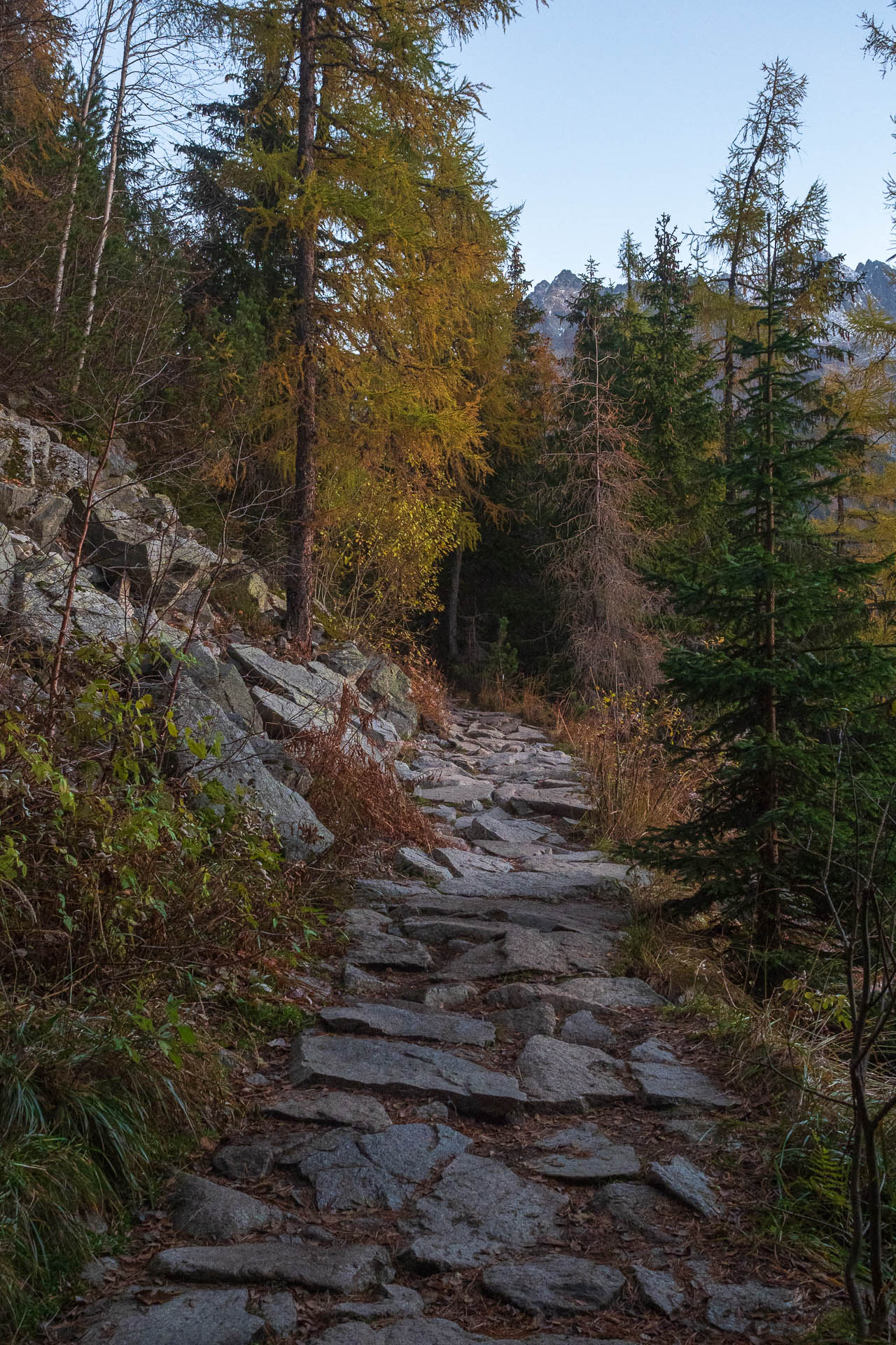 Kôprovský štít od Štrbského plesa (Vysoké Tatry)