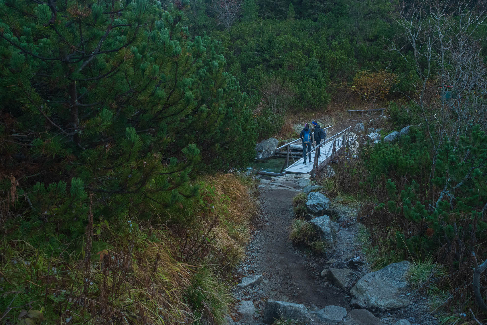 Kôprovský štít od Štrbského plesa (Vysoké Tatry)