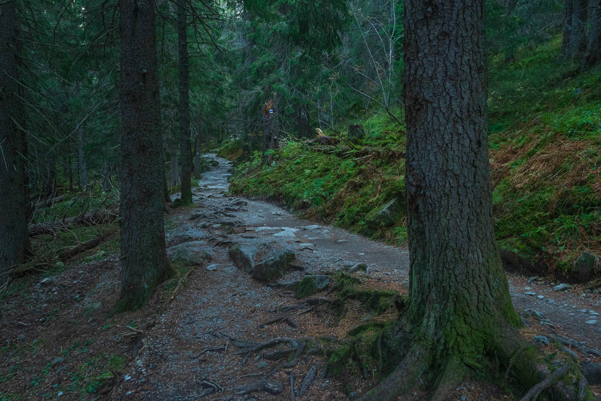 Kôprovský štít od Štrbského plesa (Vysoké Tatry)