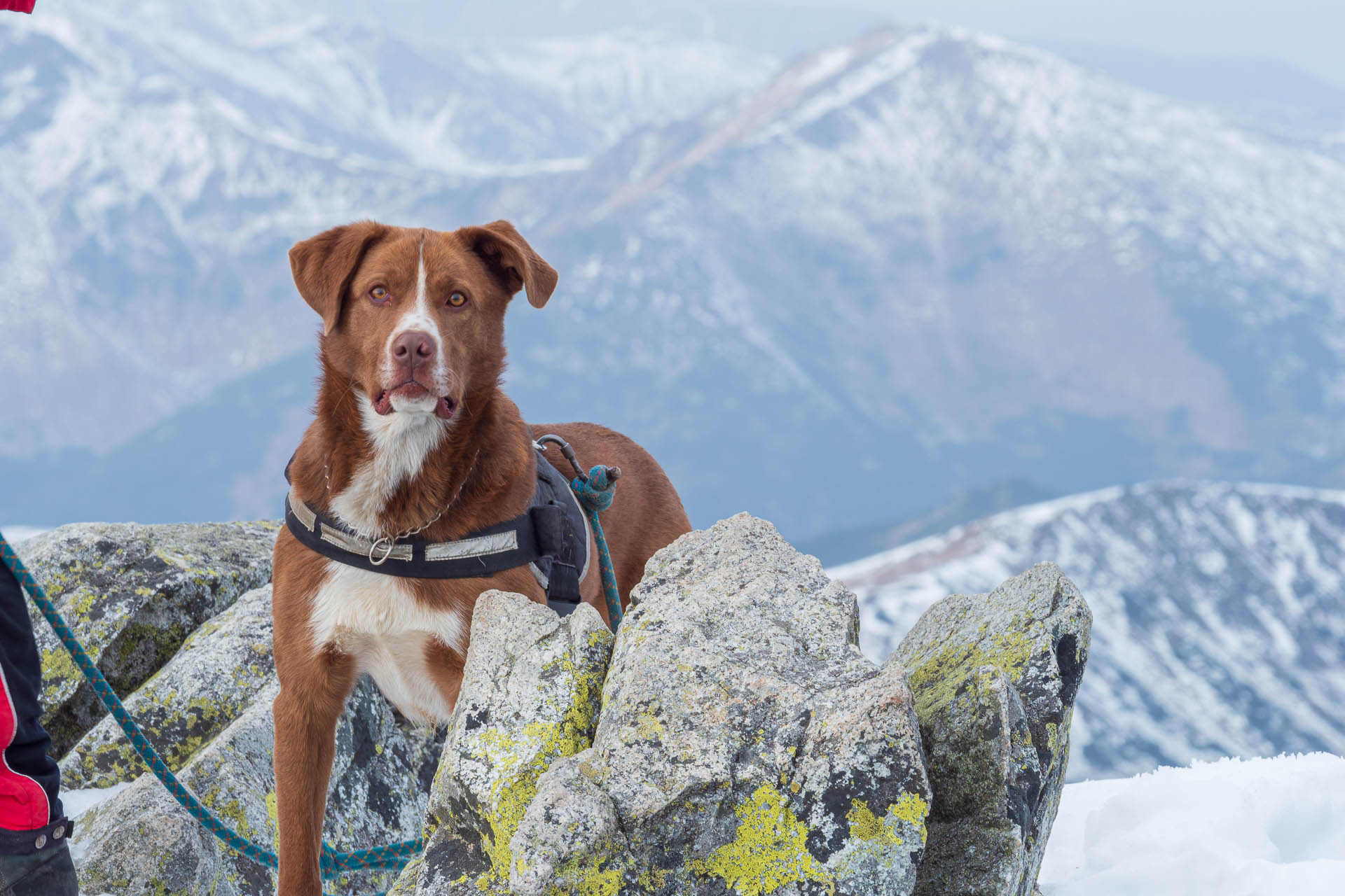 Kôprovský štít od Štrbského plesa (Vysoké Tatry)