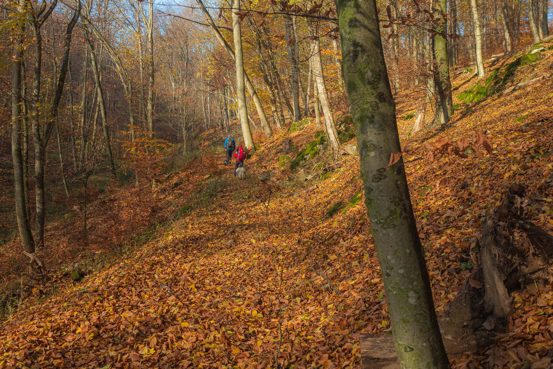 Lúka pod Vysokou z Drienovských kúpeľov (Slovenský kras)