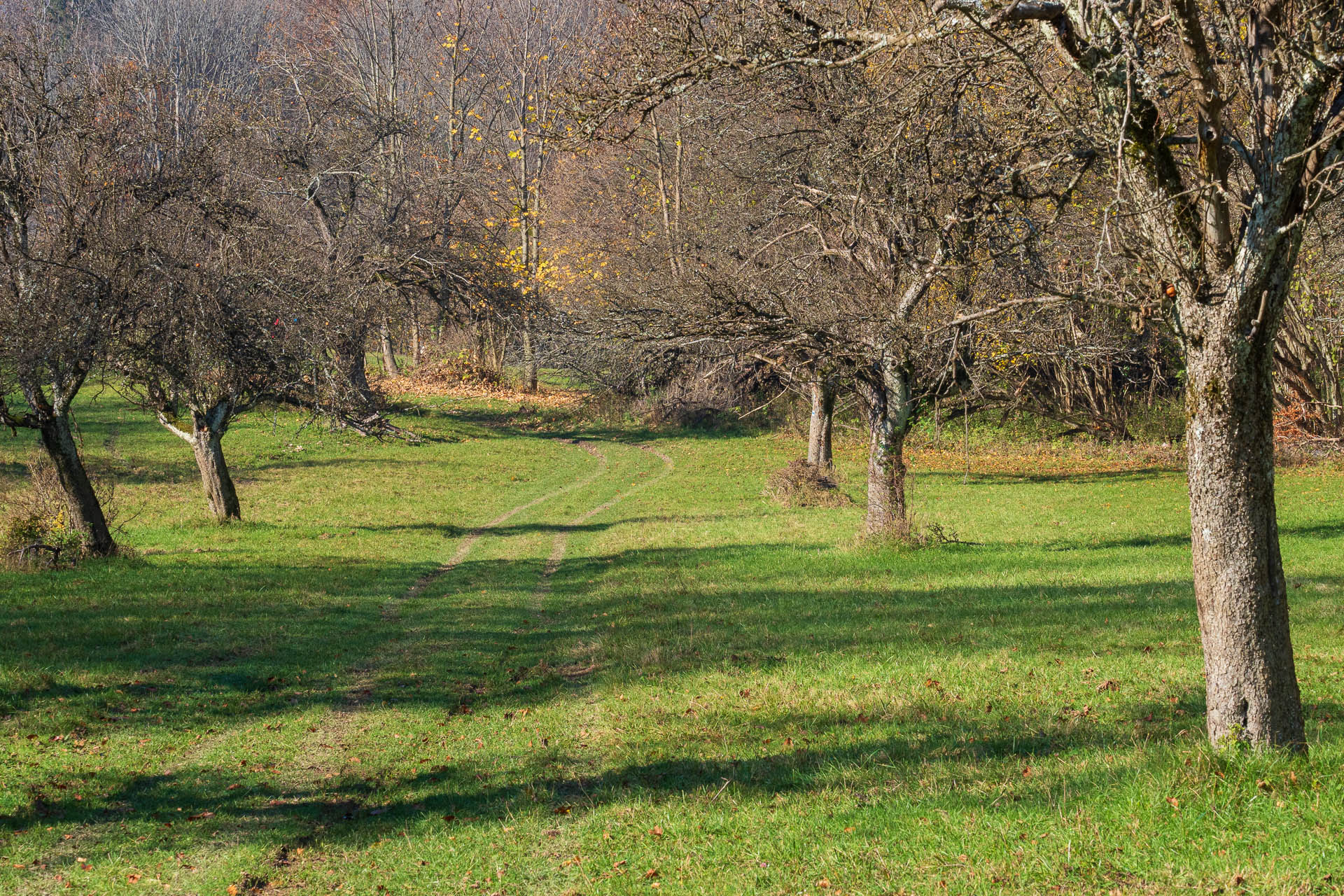 Lúka pod Vysokou z Drienovských kúpeľov (Slovenský kras)