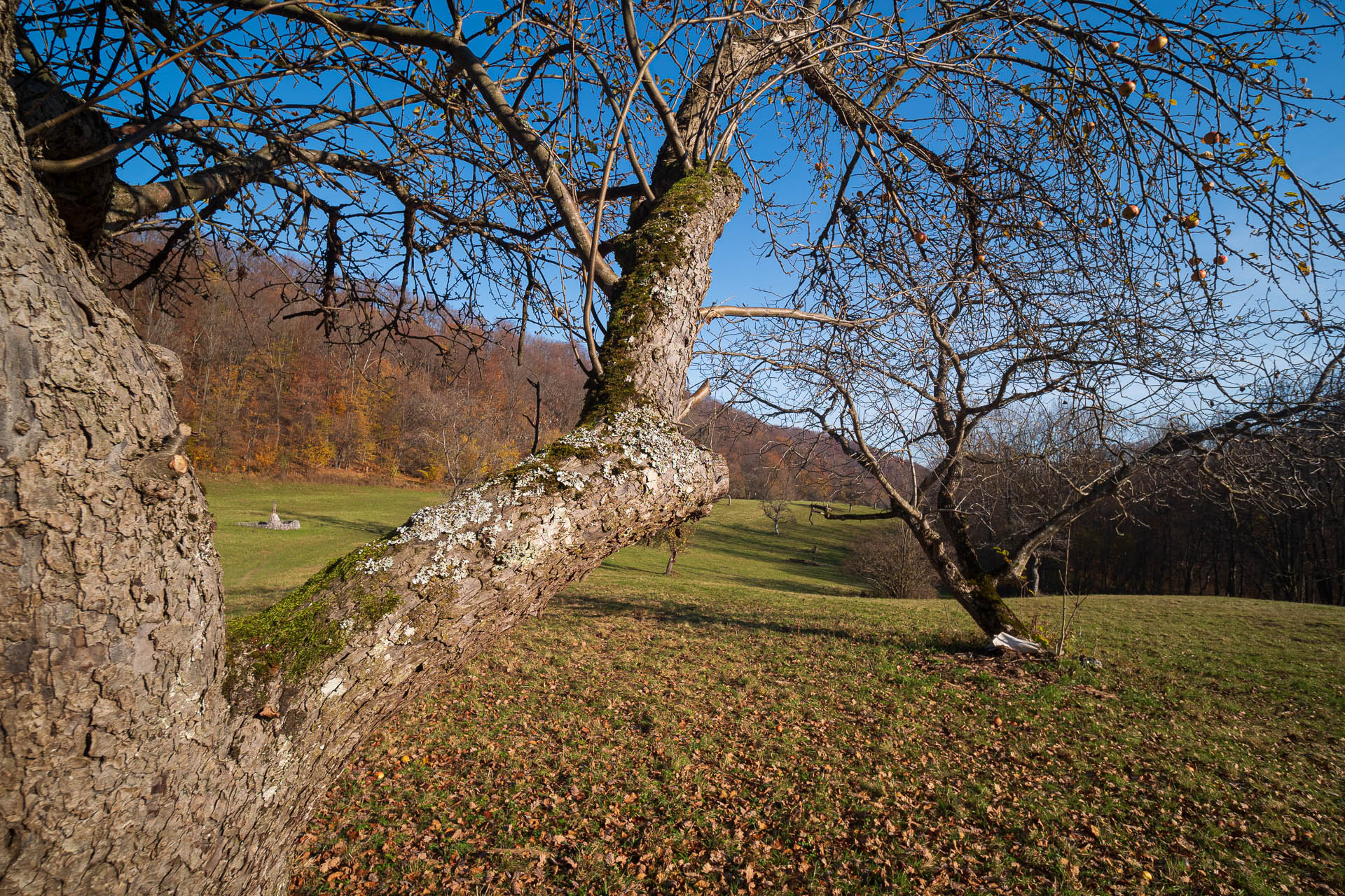 Lúka pod Vysokou z Drienovských kúpeľov (Slovenský kras)