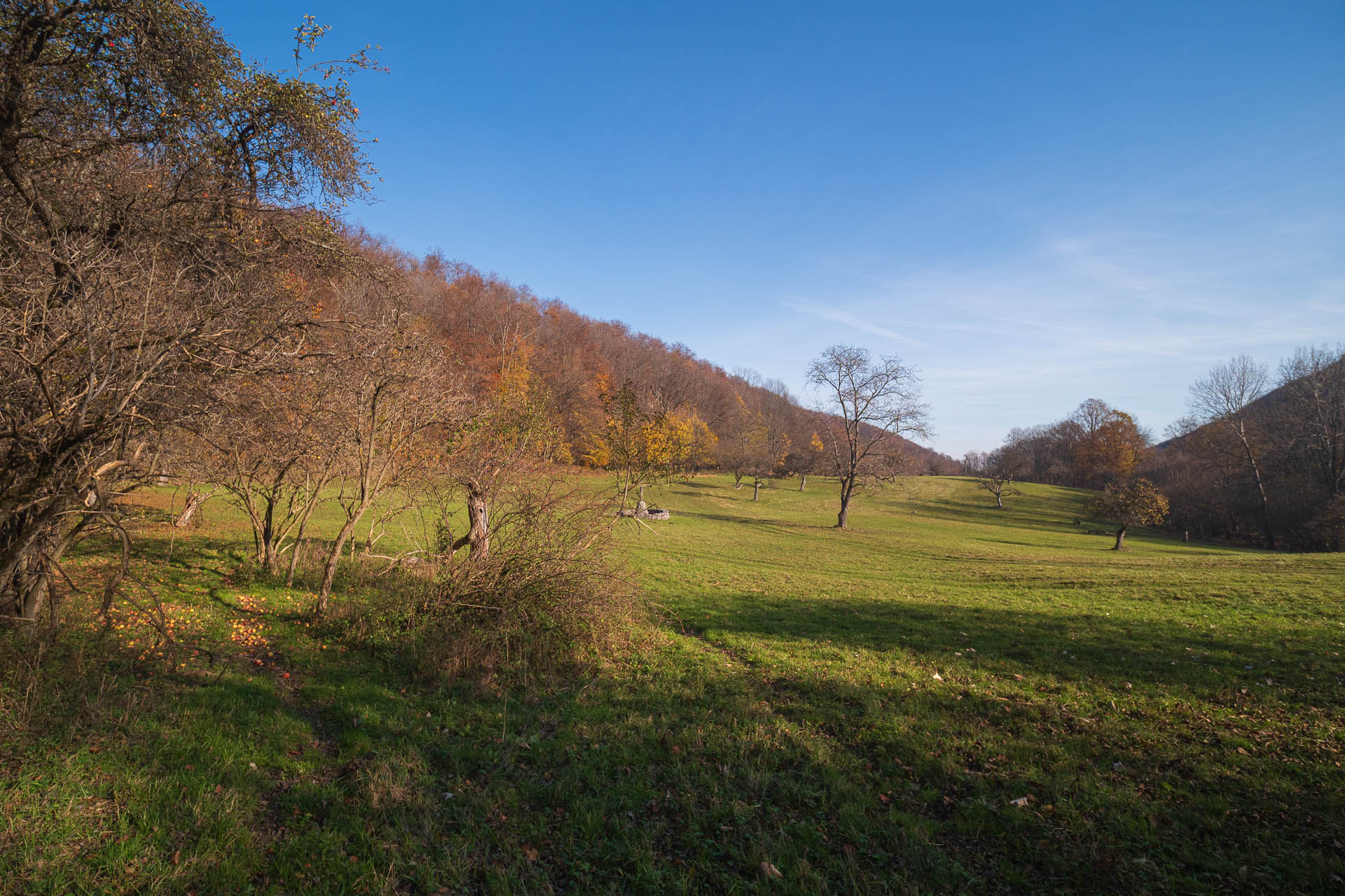 Lúka pod Vysokou z Drienovských kúpeľov (Slovenský kras)