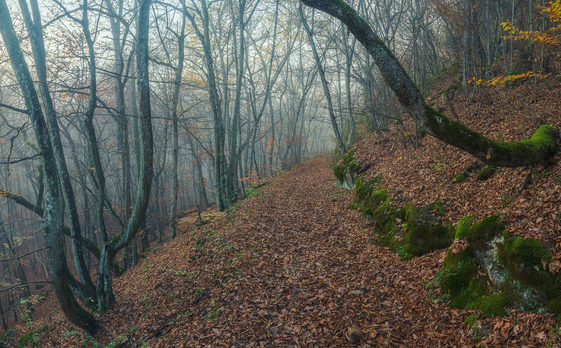 Lúka pod Vysokou z Drienovských kúpeľov (Slovenský kras)