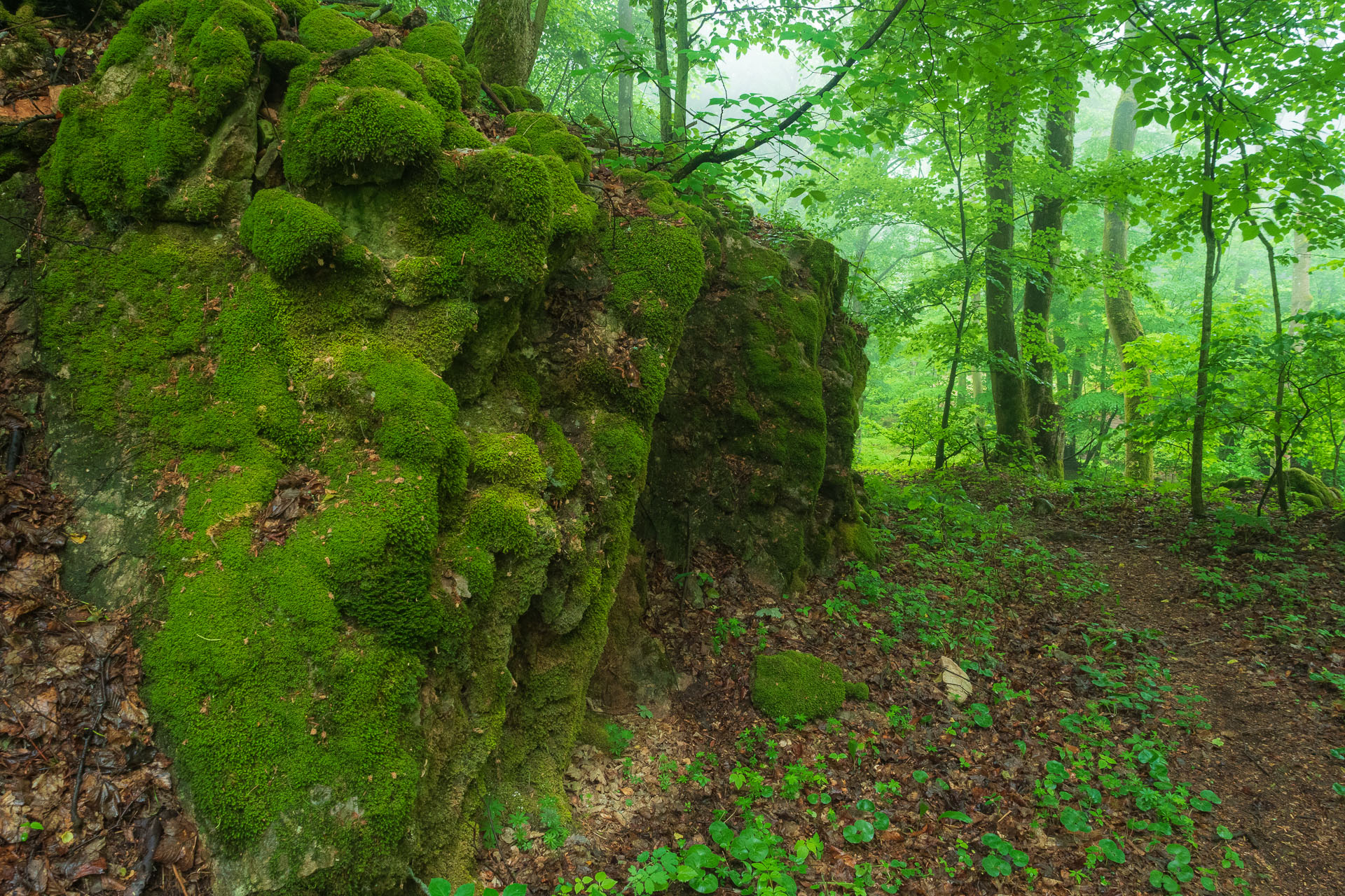 Lúka pod Vysokou z Drienovských kúpeľov (Slovenský kras)