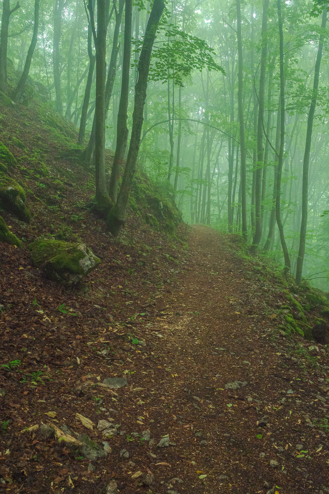 Lúka pod Vysokou z Drienovských kúpeľov (Slovenský kras)