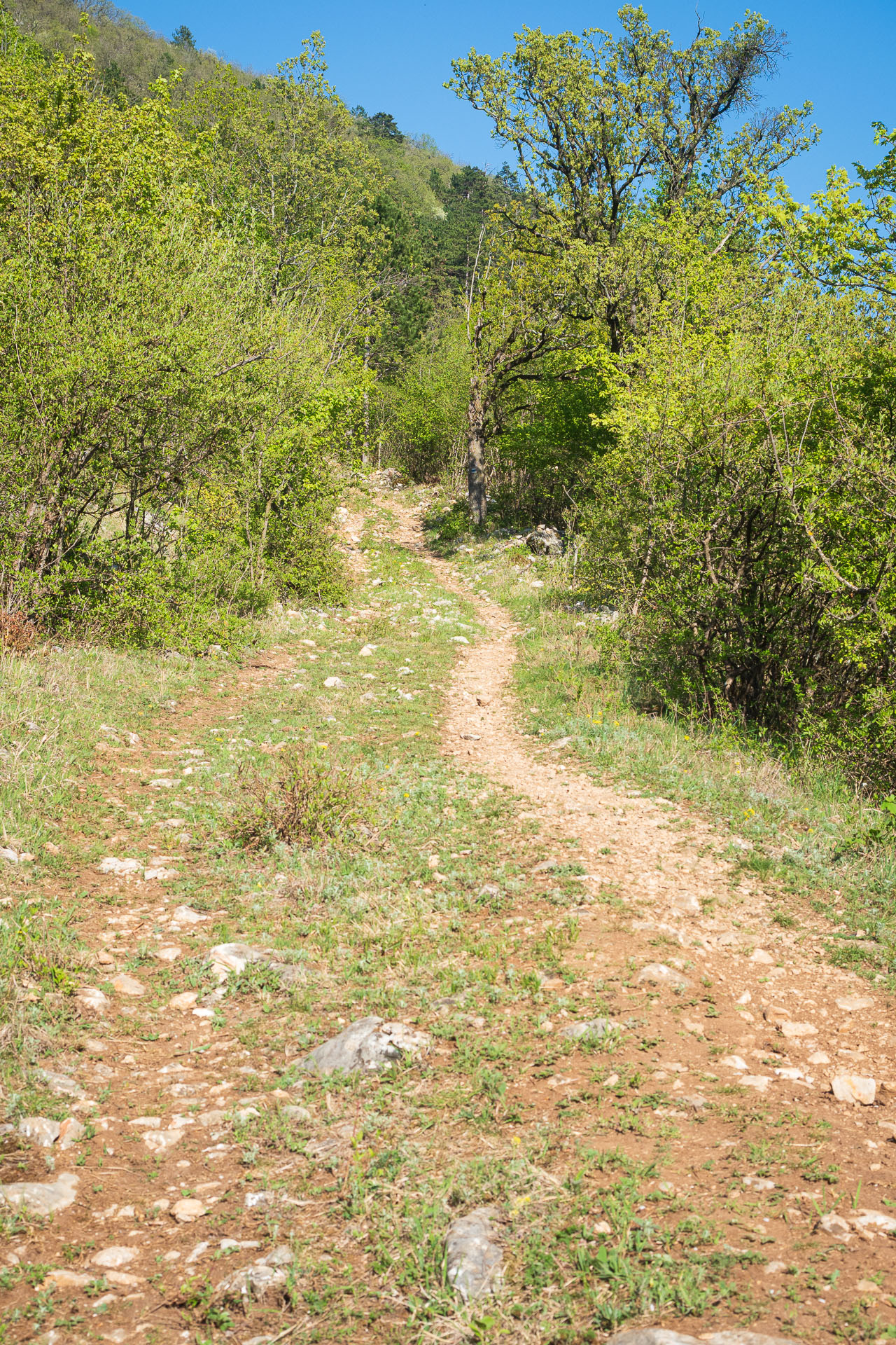 Miglinc a Ladislavova vyvieračka z Hája (Slovenský kras)