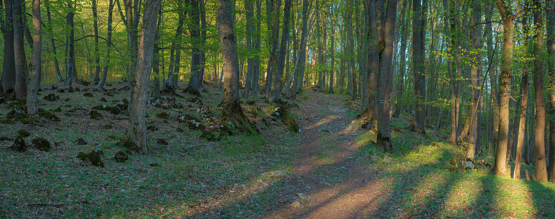 Miglinc a Ladislavova vyvieračka z Hája (Slovenský kras)