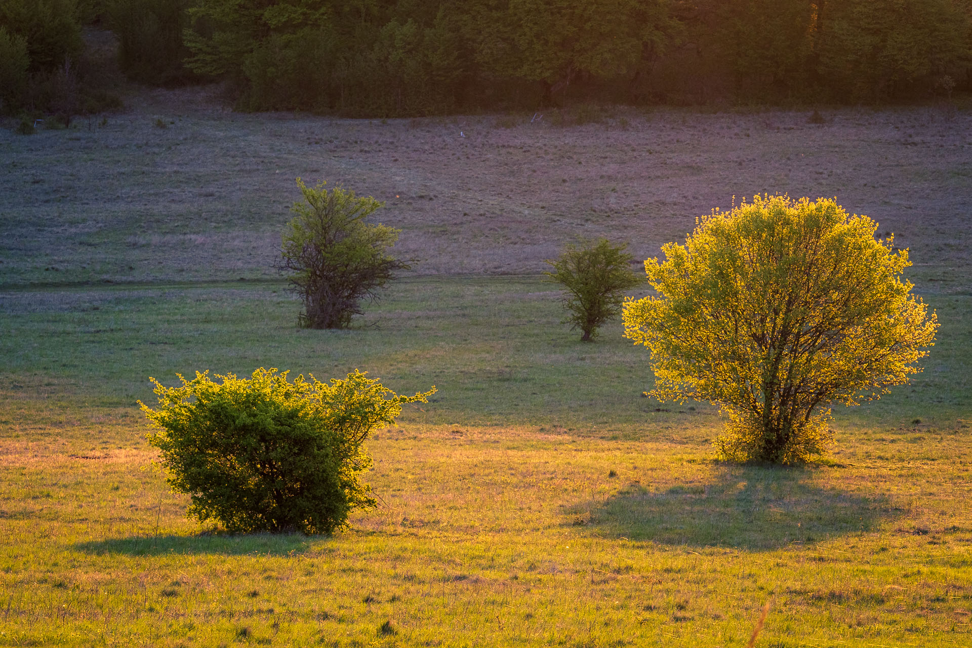 Miglinc a Ladislavova vyvieračka z Hája (Slovenský kras)