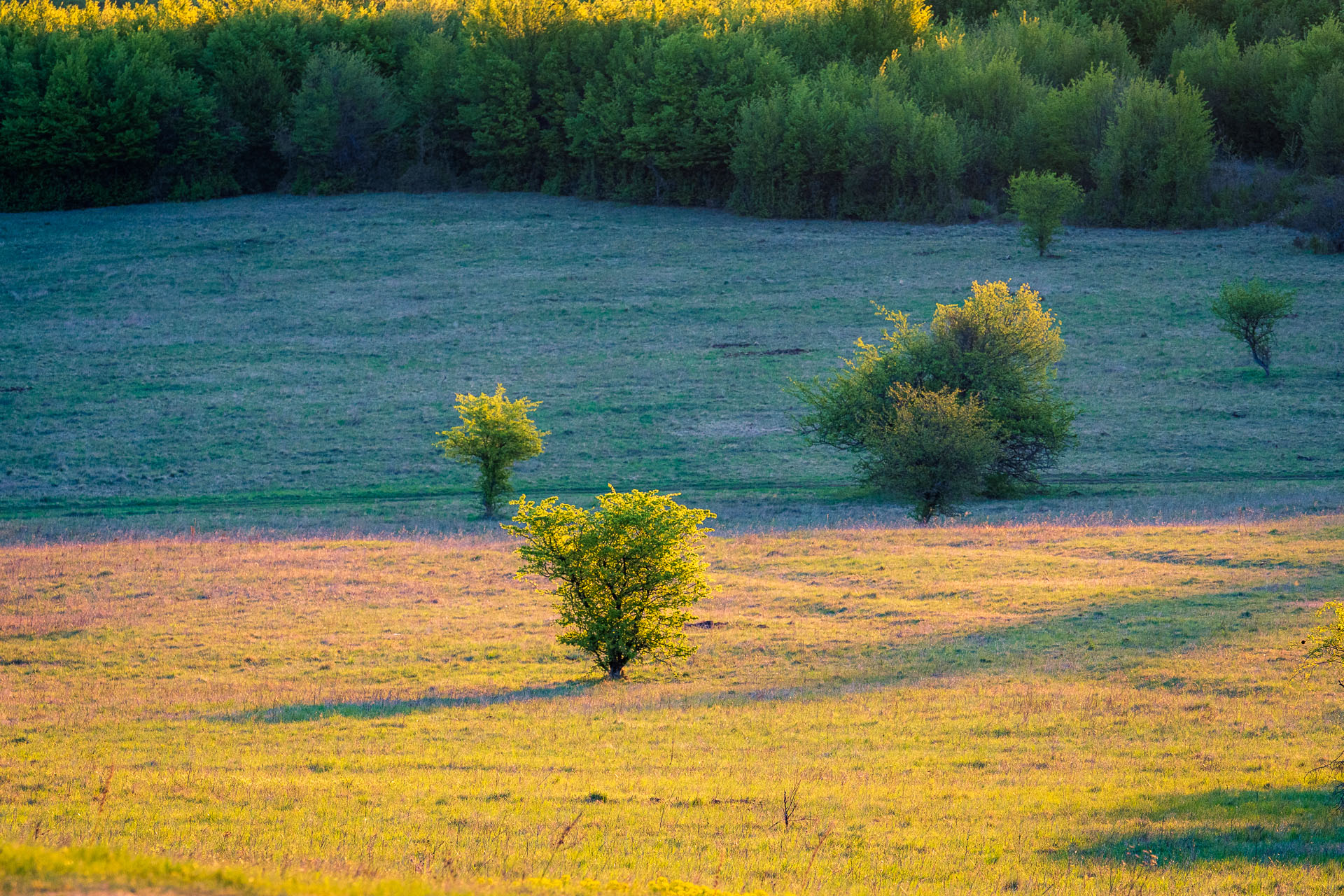 Miglinc a Ladislavova vyvieračka z Hája (Slovenský kras)