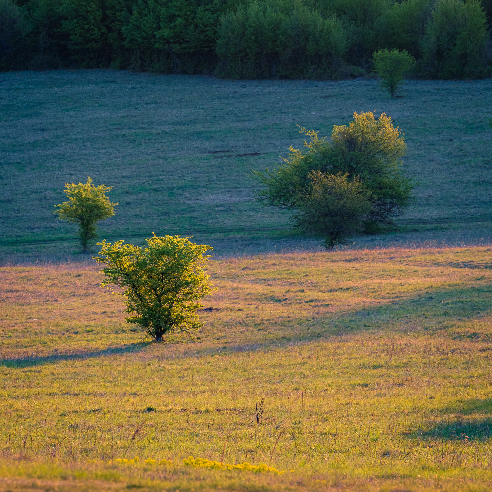 Miglinc a Ladislavova vyvieračka z Hája (Slovenský kras)